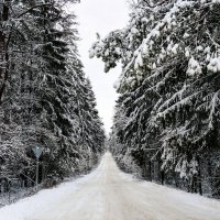 Зимняя дорога :: Иван Литвинов