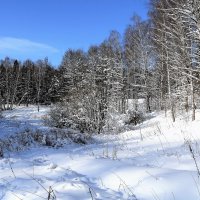 зима :: Владимир Холодницкий