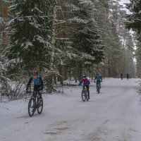 По зимнему лесу :: Сергей Цветков