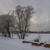 Зимний день на озере :: Сергей Цветков