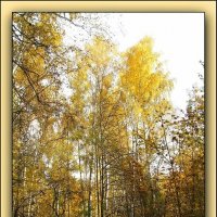 Осень золотая :: Татьяна Беляева