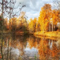 Красавица осень. :: Анастасия Самигуллина