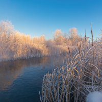 Краски зимнего утра :: Vladimbormotov 