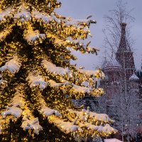 Новогодняя Москва. Зарядье. :: Надежда Лаптева