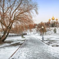 Успенский собор и дерево :: Юлия Батурина