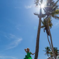 Шикарные пальмы на пляже Макао в Доминикане :: Алана 