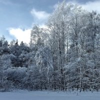 Тёплых дней тревожное ненастье... :: Лесо-Вед (Баранов)