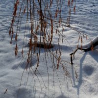 Лыжня на замершем пруду в парке... :: Лидия Бараблина