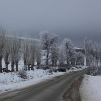 Дорога в туман :: M Marikfoto