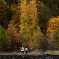 Времена года. Октябрь, грибная пора. :: Юрий Воронов