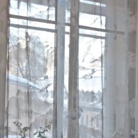 зима за окном :: Елена 