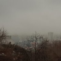 Утренний туман :: Наталья (D.Nat@lia)