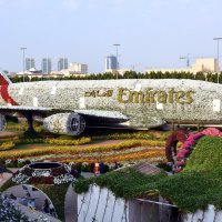 цветочный Emirates :: vg154 