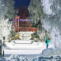 Зима в ухтинском парке. :: Николай Зиновьев