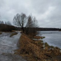 Тема 2 с вариацией. Вариация :: Андрей Лукьянов