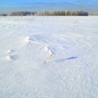 Зимнее поле :: Татьяна Лютаева