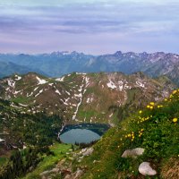 Альпийская весна :: Elena Wymann
