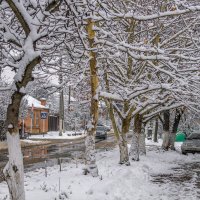 Мокрый снег :: Игорь Сикорский
