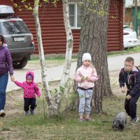 Заинтересовались. :: Александр Павлуженков