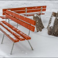 Снег идет :: Александр Тарноградский