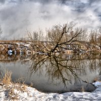 Прогулка по Балобаново. Клязьма :: Сергей Дружаев