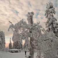 Зима на Таганае.* :: Galina Serebrennikova