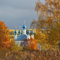 с Домнино Сусанинский р-н :: краснов юрий 