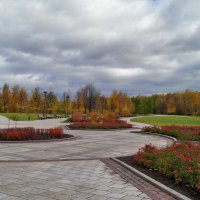 Осенние краски :: Елена Кирьянова