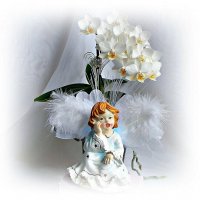 Ангел и орхидея. :: Валерия Комова