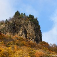 золотая осень Даутский заказник :: Александр Богатырёв