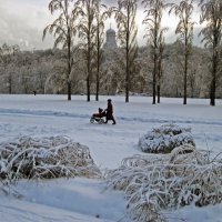 Зима в Коломенском. :: Борис Бутцев