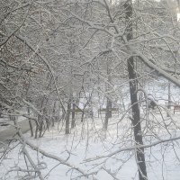 Снежным январьским днем :: Елена Семигина
