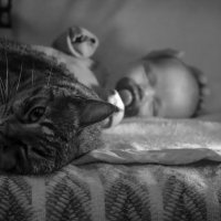 Малыш и кот :: Ksenia Sun