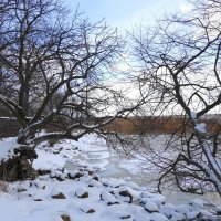 Зимой на Калининградском заливе :: Маргарита Батырева