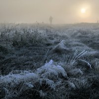 Тропинка рассвета... :: Андрей Войцехов