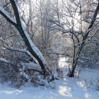 Солнечная дорожка в зимнем лесу :: Лидия Бусурина