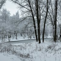 Парк после снегопада. :: Милешкин Владимир Алексеевич 
