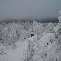 Таганай в пасмурный день. :: Galina Serebrennikova