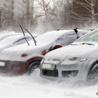 Январская вьюга :: Евгений Печенин