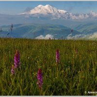 Эльбрус :: Александр Богатырёв