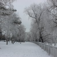 Зима в моём городе( г. Омск) :: раиса Орловская