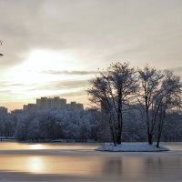 Фрагмент зимы в городе. :: Leonid Voropaev
