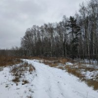 Скромное обаяние моей Родины :: Андрей Лукьянов