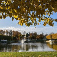 Лебединый пруд в парке Кадриорг :: veera v