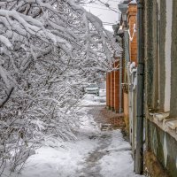 Снег выпал и растаял :: Игорь Сикорский