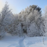 Во власти зимы :: Ольга 