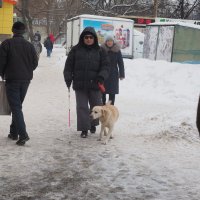 С собакой. :: Ильсияр Шакирова