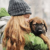 Человек собаке друг! :: Tatiana Kochergina