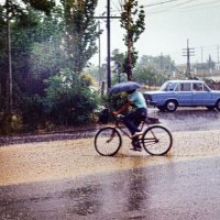 Дождь не помеха :: Юрий Яловенко