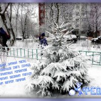 С последним месяцем зимы! :: Татьяна Помогалова